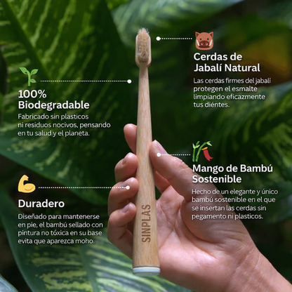 Sinplas Natural Brush (Copia)